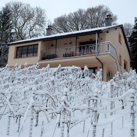 Casavitis Erholung Am Weinberg Lägenhet Lontzen Exteriör bild