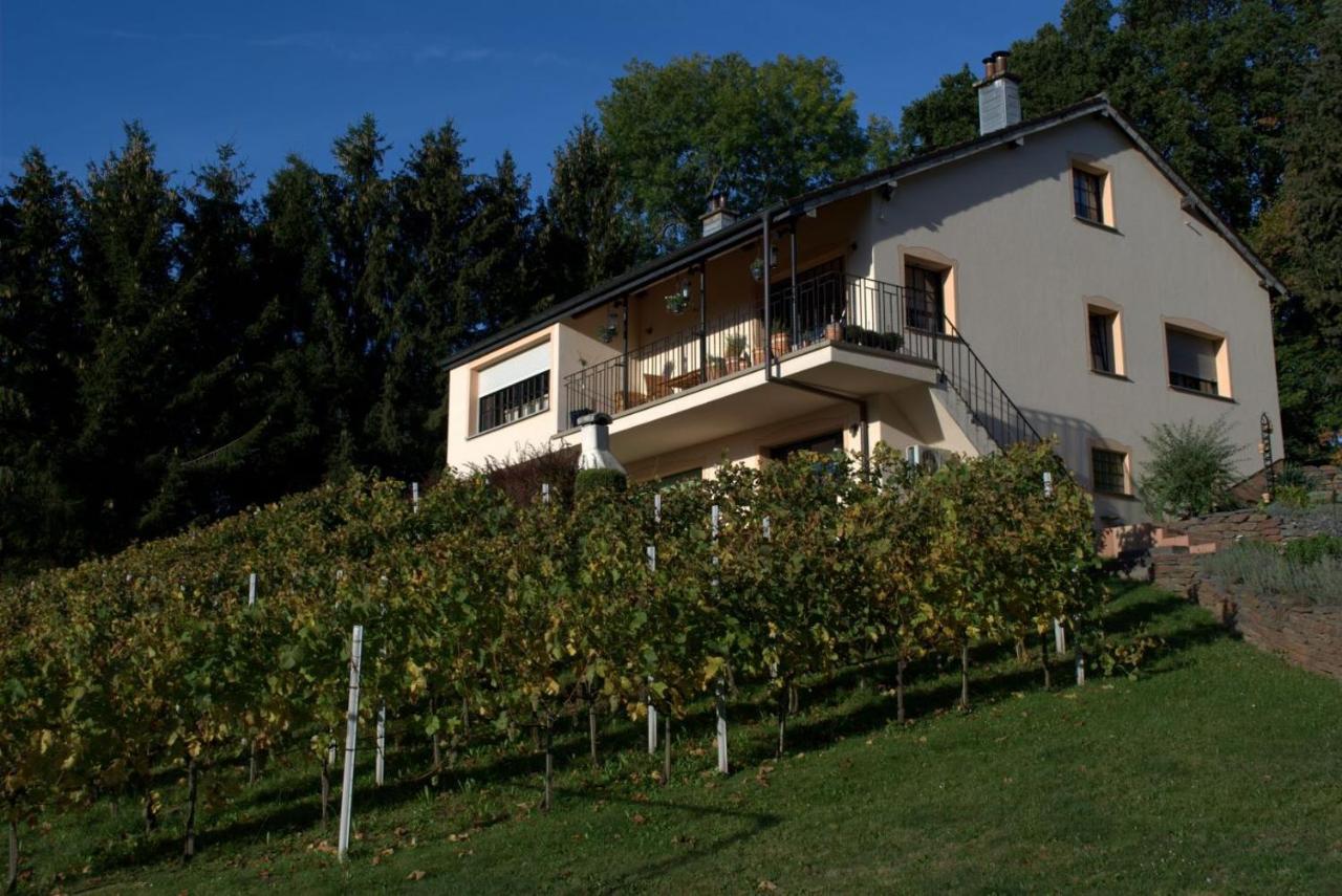 Casavitis Erholung Am Weinberg Lägenhet Lontzen Exteriör bild